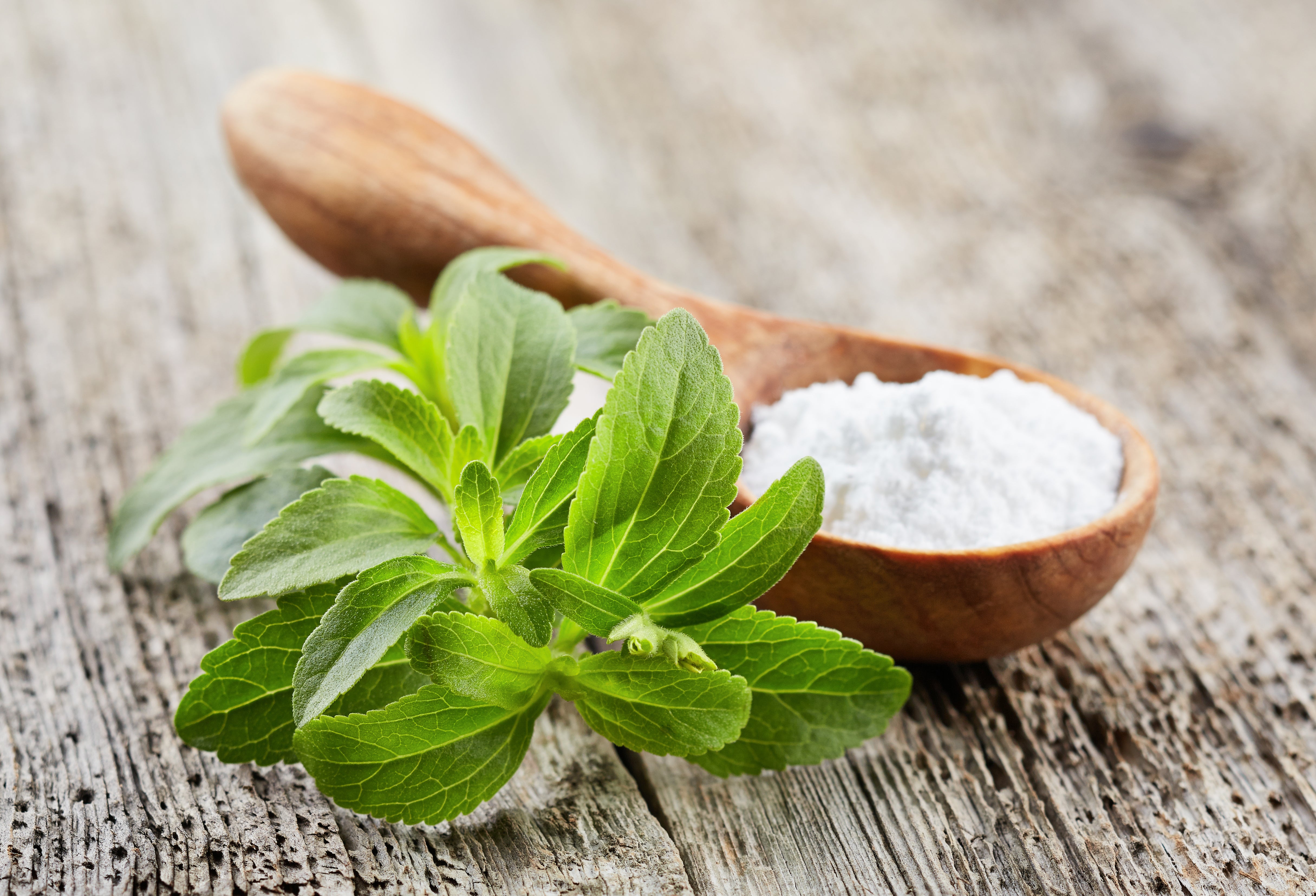 Picture of stevia, a low carb, keto sweetener that doesn't spike sugar levels 